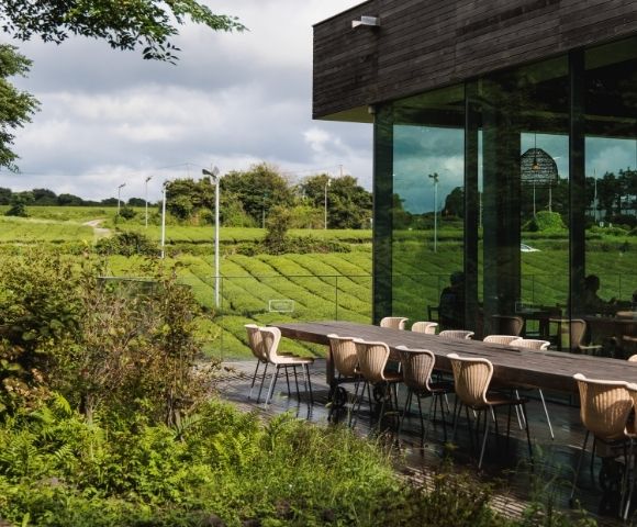An outdoor dining area with a long wooden table and modern chairs, located next to a glass-walled building. The view features lush green hills and tea fields under a partly cloudy sky, with light filtering through surrounding trees.