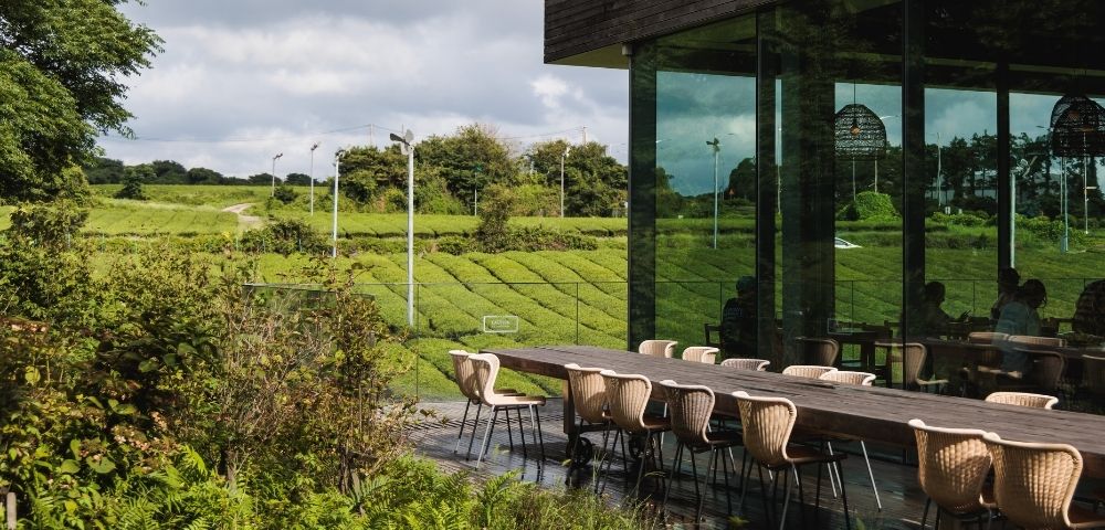 An outdoor dining area with a long wooden table and modern chairs, located next to a glass-walled building. The view features lush green hills and tea fields under a partly cloudy sky, with light filtering through surrounding trees.