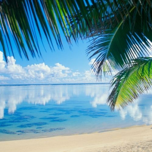 Calm beach scene with clear blue water, a sandy shore, white clouds reflected in the ocean, and palm tree leaves in the foreground.