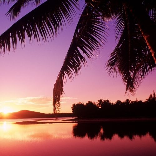 Silhouettes of palm trees frame the scene as the sun sets on a calm body of water. The sky displays vibrant purple and orange hues, reflecting on the tranquil surface, with a distant shoreline lined with more trees.