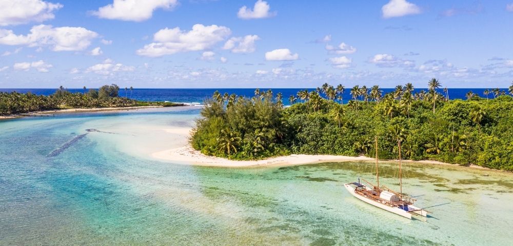 A picturesque beach scene featuring palm trees, smooth sandy shores, and clear blue waters with scattered rocks.