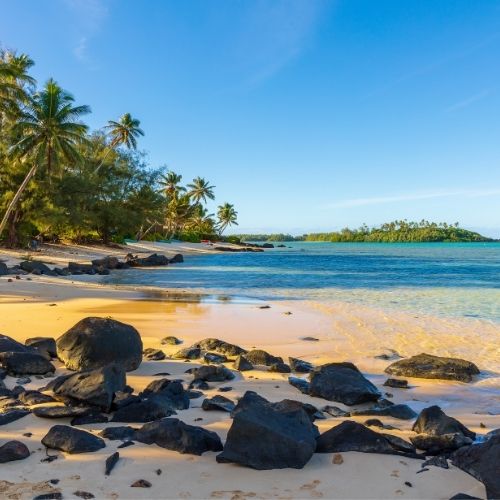 A picturesque beach scene featuring palm trees, smooth sandy shores, and clear blue waters with scattered rocks.