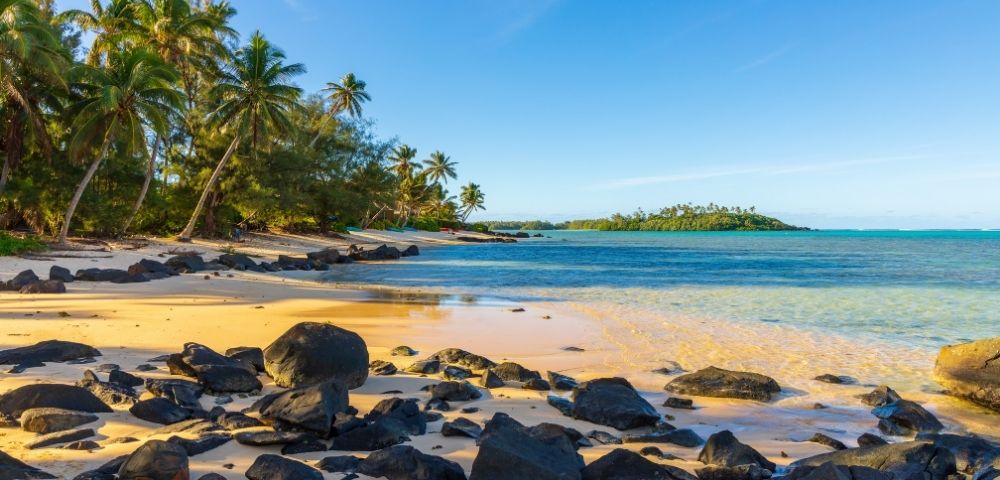 A picturesque beach scene featuring palm trees, smooth sandy shores, and clear blue waters with scattered rocks.