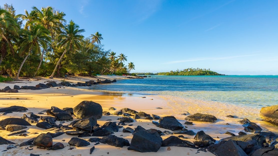 A picturesque beach scene featuring palm trees, smooth sandy shores, and clear blue waters with scattered rocks.