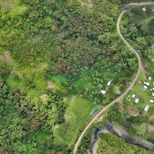 Aerial view of a winding dirt road passing through dense green forest and scattered small buildings in a rural area.