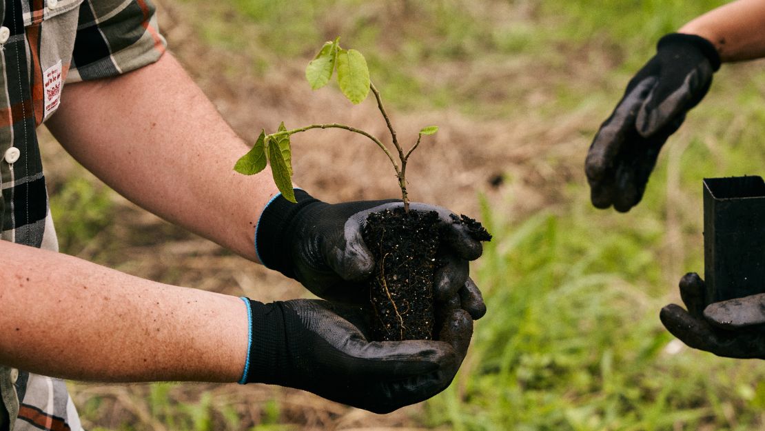 A person wearing black gloves, holding a small seedling with soil, preparing to plant outdoors in a green area.