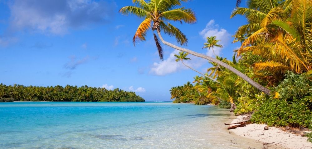 A tropical beach with crystal clear turquoise water, white sand, and lush green palm trees against a bright blue sky with white clouds.