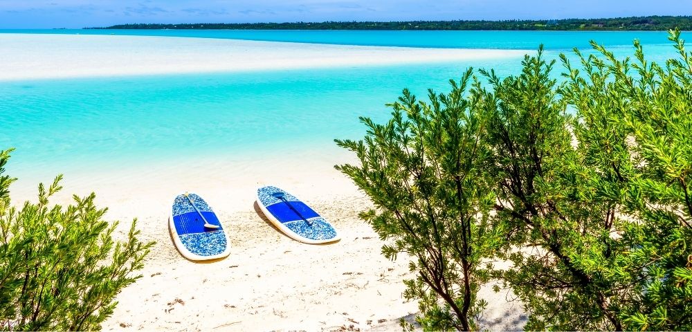 Two paddleboards resting on a sandy beach near turquoise water, with a green shrub in the foreground.