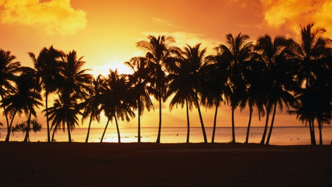 Silhouetted palm trees against a vibrant orange sunset over the ocean.