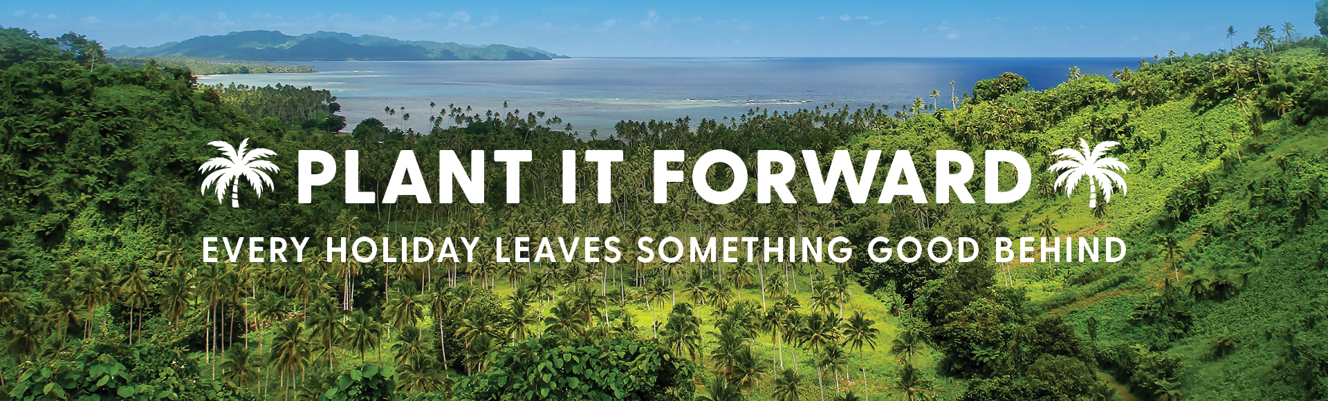 A lush tropical landscape with palm trees and a distant ocean, overlaid with the white text 