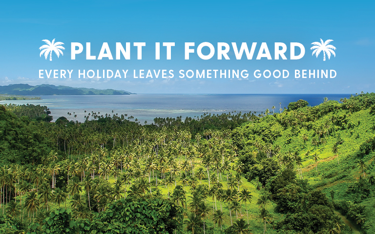 A lush tropical landscape with palm trees and a distant ocean, overlaid with the white text 