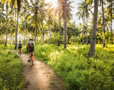 Two people on bicycles ride along a dirt path through a lush tropical forest filled with palm trees and green undergrowth, bathed in golden sunlight.
