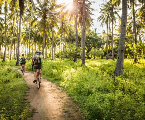 Two people on bicycles ride along a dirt path through a lush tropical forest filled with palm trees and green undergrowth, bathed in golden sunlight.