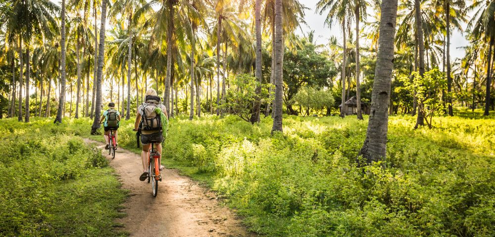 Two people on bicycles ride along a dirt path through a lush tropical forest filled with palm trees and green undergrowth, bathed in golden sunlight.