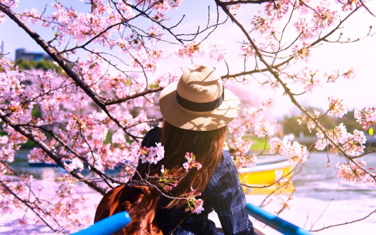 Woman wearing a straw hat seen from behind, surrounded by blooming pink cherry blossoms by a body of water.