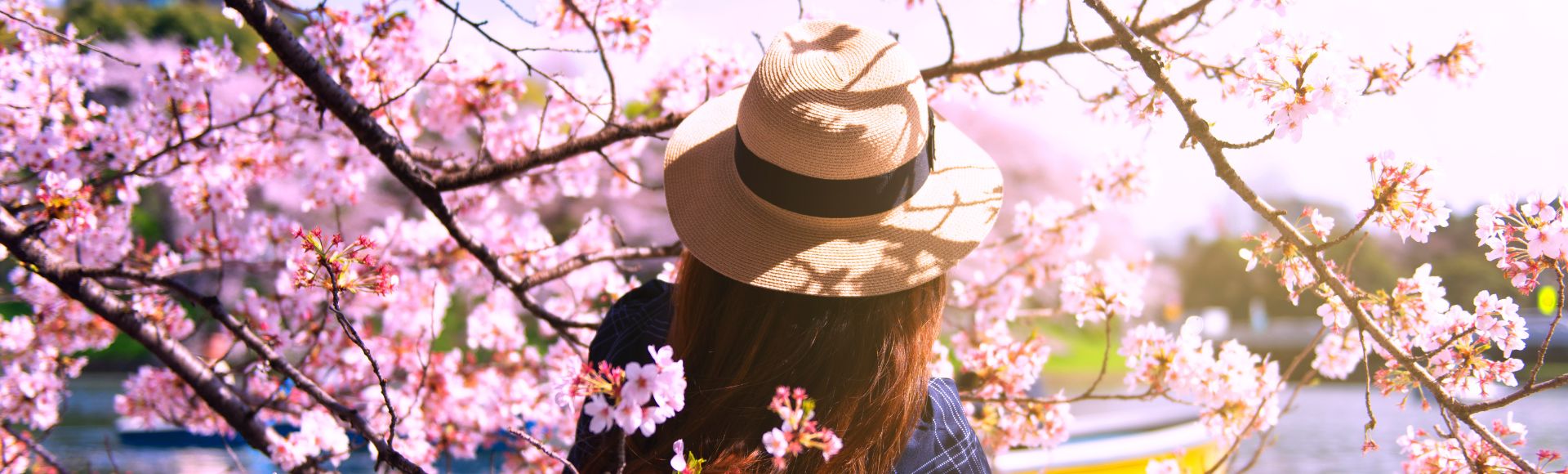 Woman wearing a straw hat seen from behind, surrounded by blooming pink cherry blossoms by a body of water.