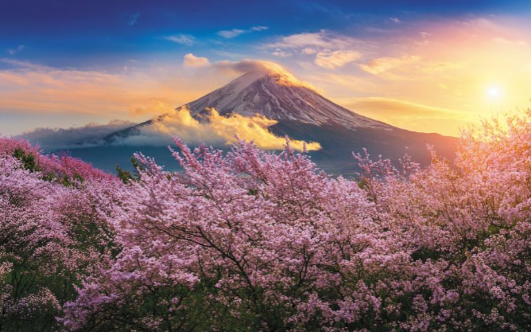Snow-capped Mount Fuji in Japan shrouded in clouds, with vibrant pink cherry blossoms in the foreground during a colorful sunrise.
