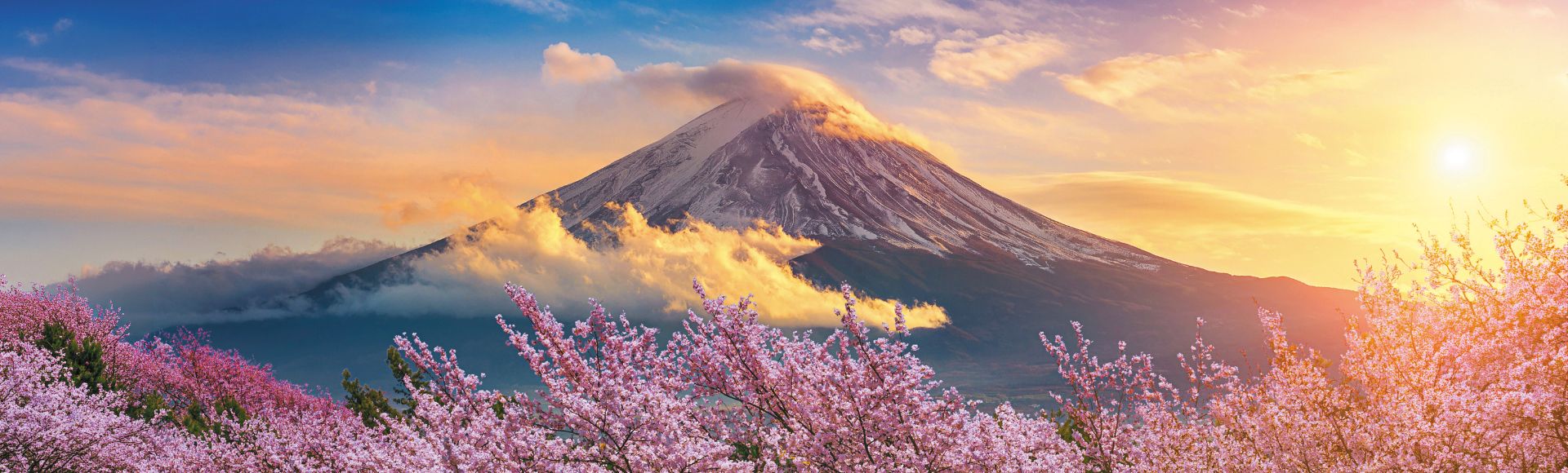 Snow-capped Mount Fuji in Japan shrouded in clouds, with vibrant pink cherry blossoms in the foreground during a colorful sunrise.