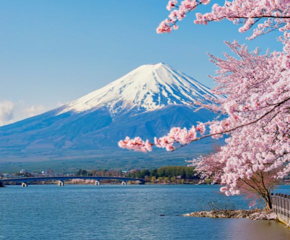 Snow-capped Mount Fuji against a clear blue sky, with blooming pink cherry blossoms in the foreground.