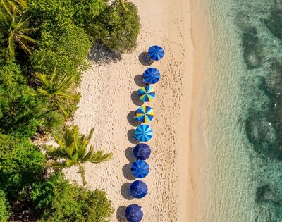 Aerial view of a sandy beach with colorful umbrellas arranged in a line near the water's edge, surrounded by greenery.