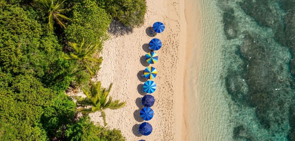 Aerial view of a sandy beach with colorful umbrellas arranged in a line near the water's edge, surrounded by greenery.