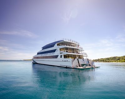 A large cruise ship anchored in calm, turquoise waters with a clear blue sky and a green island in the background.