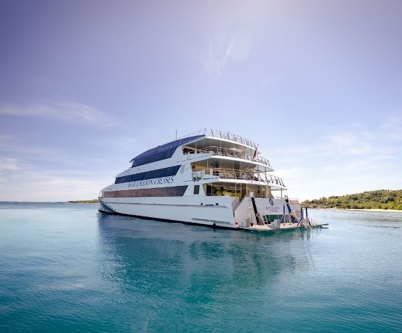 A large cruise ship anchored in calm, turquoise waters with a clear blue sky and a green island in the background.