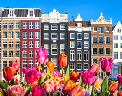 A vibrant foreground of pink, orange, and red tulips contrasts with a row of colorful, narrow Dutch canal houses under a clear blue sky.