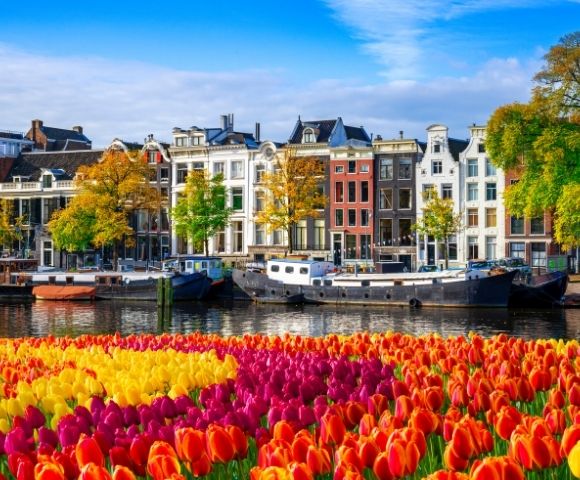 A vibrant field of red, orange, and yellow tulips stretches across the foreground, with moored boats lining a canal in the middle ground, and a row of historic canal houses and trees with autumn foliage in the background under a clear blue sky.