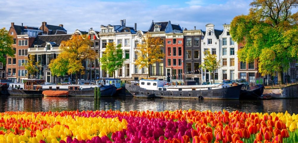 A vibrant field of red, orange, and yellow tulips stretches across the foreground, with moored boats lining a canal in the middle ground, and a row of historic canal houses and trees with autumn foliage in the background under a clear blue sky.