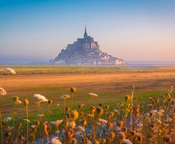 A dramatic, misty view of Mont Saint-Michel at sunrise, seen across a field of golden grasses and wildflowers, with the iconic abbey perched atop the tidal island.