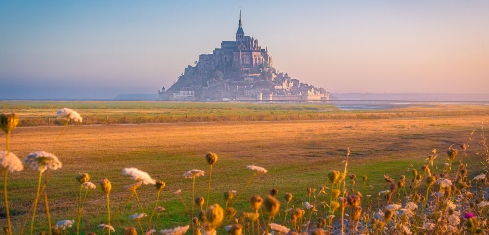 A dramatic, misty view of Mont Saint-Michel at sunrise, seen across a field of golden grasses and wildflowers, with the iconic abbey perched atop the tidal island.