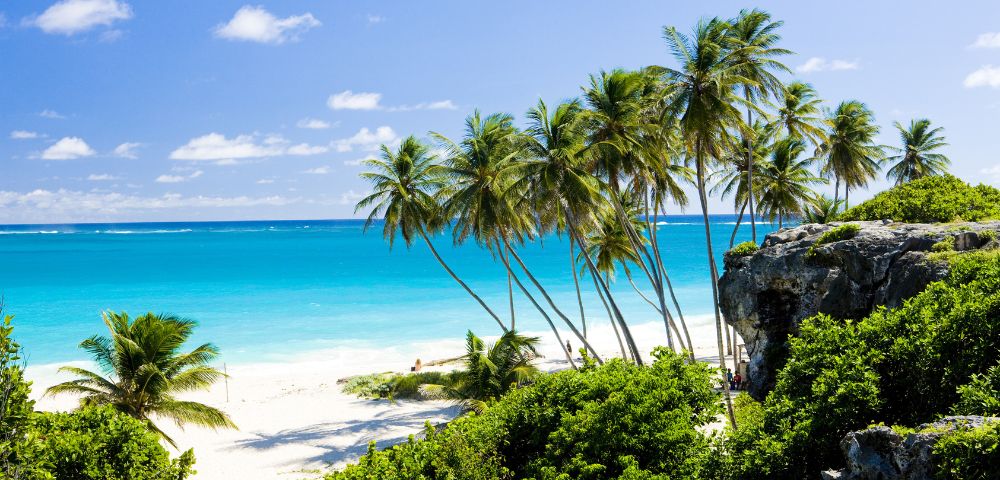 A scenic view of a tropical beach with clear turquoise water, a white sand shoreline dotted with palm trees, and rocky cliffs covered in lush green vegetation under a bright blue sky with scattered white clouds.