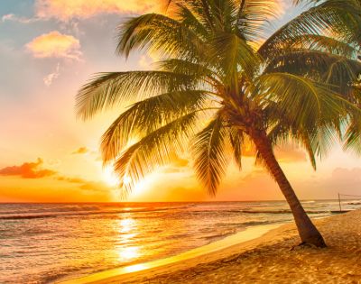 Two palm trees frame a vibrant sunset over a tropical beach, with golden sand and calm ocean waves reflecting the fiery sky.