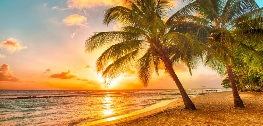 Two palm trees frame a vibrant sunset over a tropical beach, with golden sand and calm ocean waves reflecting the fiery sky.