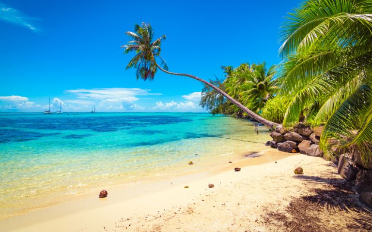 Best Islands in the Caribbean to Visit on a Cruise Banner Image