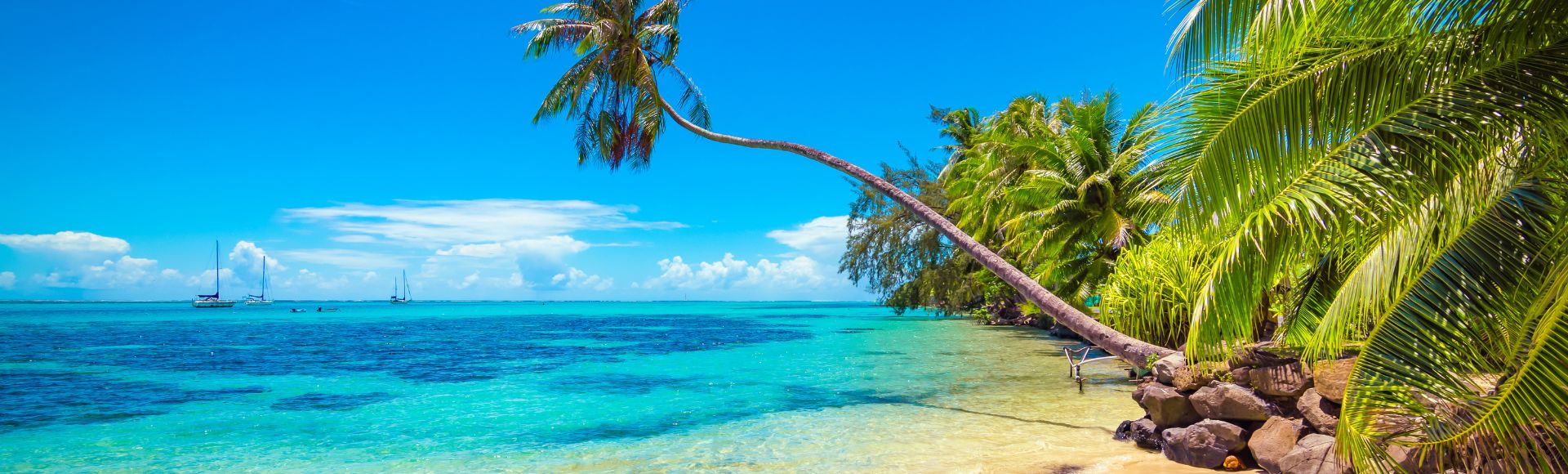 Best Islands in the Caribbean to Visit on a Cruise Banner Image