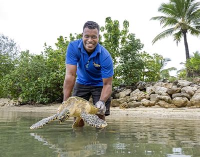 A person in a blue shirt is holding a turtle in shallow water near a beach with greenery and rocks in the background.
