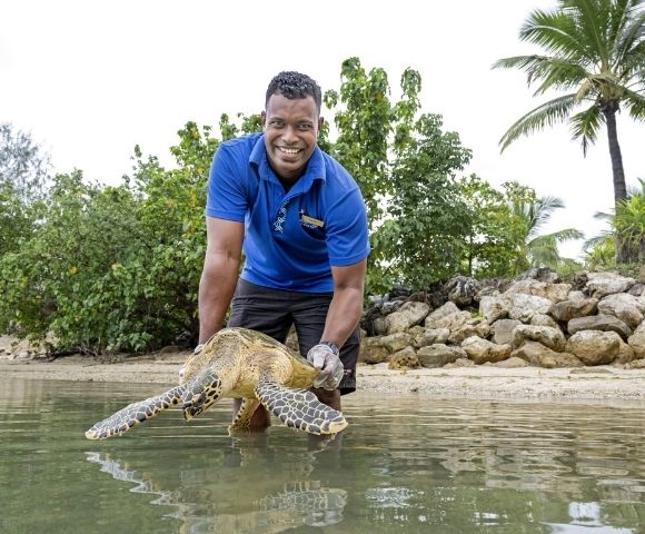 A person in a blue shirt is holding a turtle in shallow water near a beach with greenery and rocks in the background.