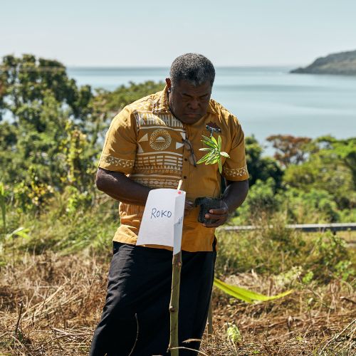 Man in a patterned yellow shirt holds a small plant next to a labeled stake in a grassy area with water and hills in the background.
