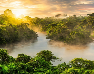 Misty river winding through lush tropical rainforest at sunrise, with golden sunlight, layered green canopy, and a tranquil, dreamlike atmosphere.