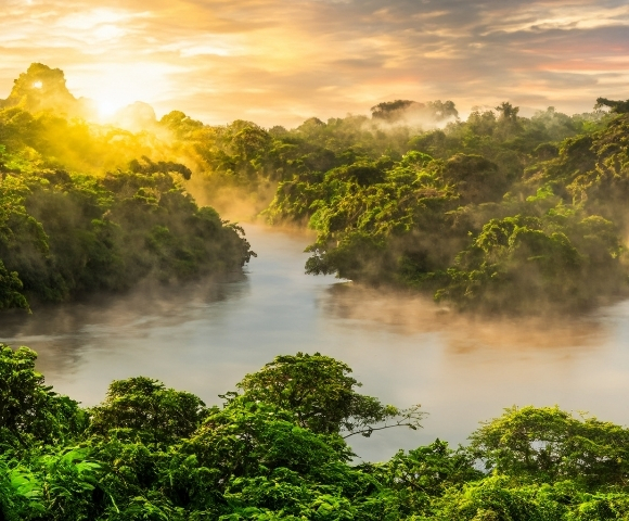 Misty river winding through lush tropical rainforest at sunrise, with golden sunlight, layered green canopy, and a tranquil, dreamlike atmosphere.