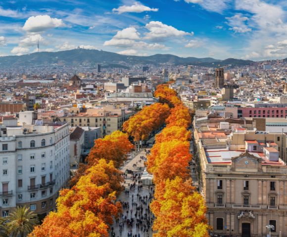 Aerial view of a wide pedestrian boulevard lined with vibrant orange trees, flanked by ornate buildings and an expansive cityscape under a partly cloudy sky.