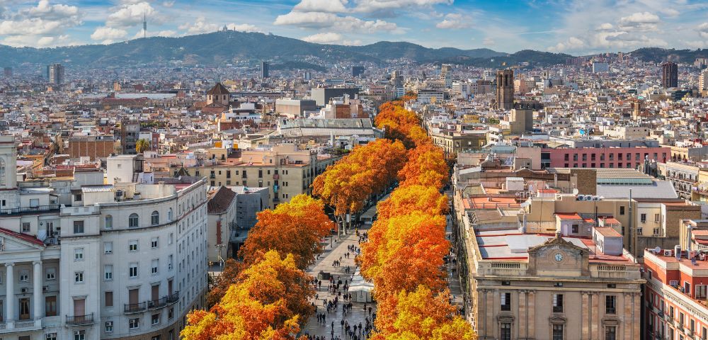 Aerial view of a wide pedestrian boulevard lined with vibrant orange trees, flanked by ornate buildings and an expansive cityscape under a partly cloudy sky.