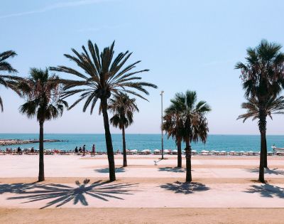 A row of tall palm trees stands in the foreground, casting shadows on a sandy promenade overlooking a crowded beach and the blue ocean under a clear sky.