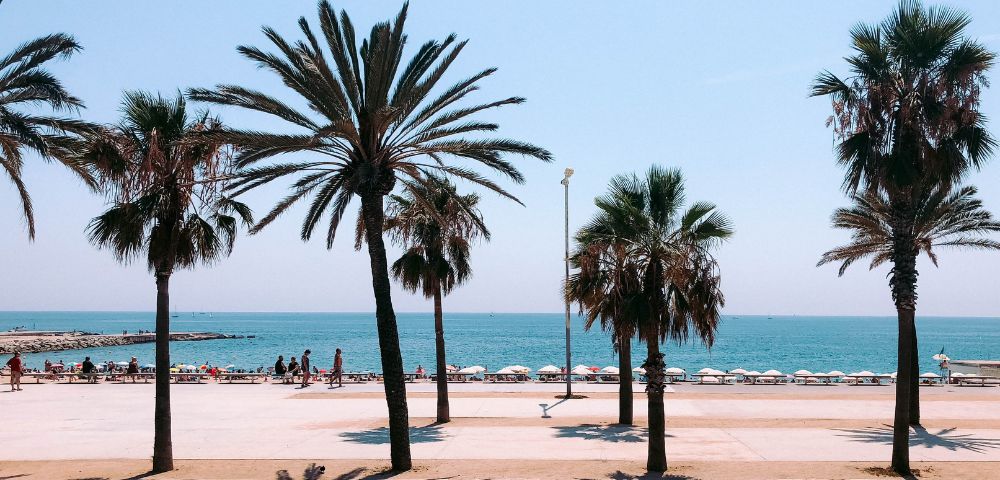A row of tall palm trees stands in the foreground, casting shadows on a sandy promenade overlooking a crowded beach and the blue ocean under a clear sky.