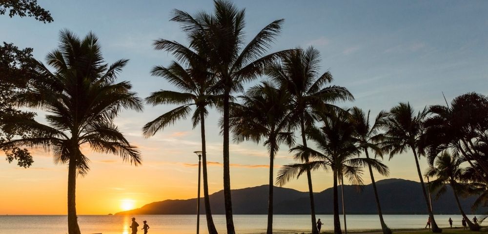 Silhouetted palm trees stand along a coastal path at sunrise, with people jogging and walking by the calm ocean and distant mountains in the back.
