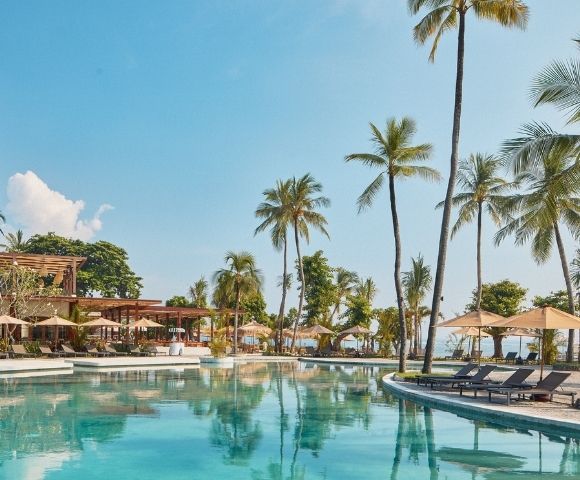 A tranquil resort scene featuring a clear swimming pool surrounded by lush palm trees and lounge chairs, under a bright blue sky.