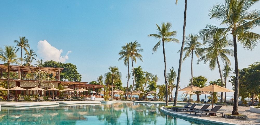 A tranquil resort scene featuring a clear swimming pool surrounded by lush palm trees and lounge chairs, under a bright blue sky.
