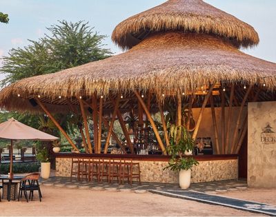 A tropical outdoor bar with a thatched roof, surrounded by trees and decorative lights.